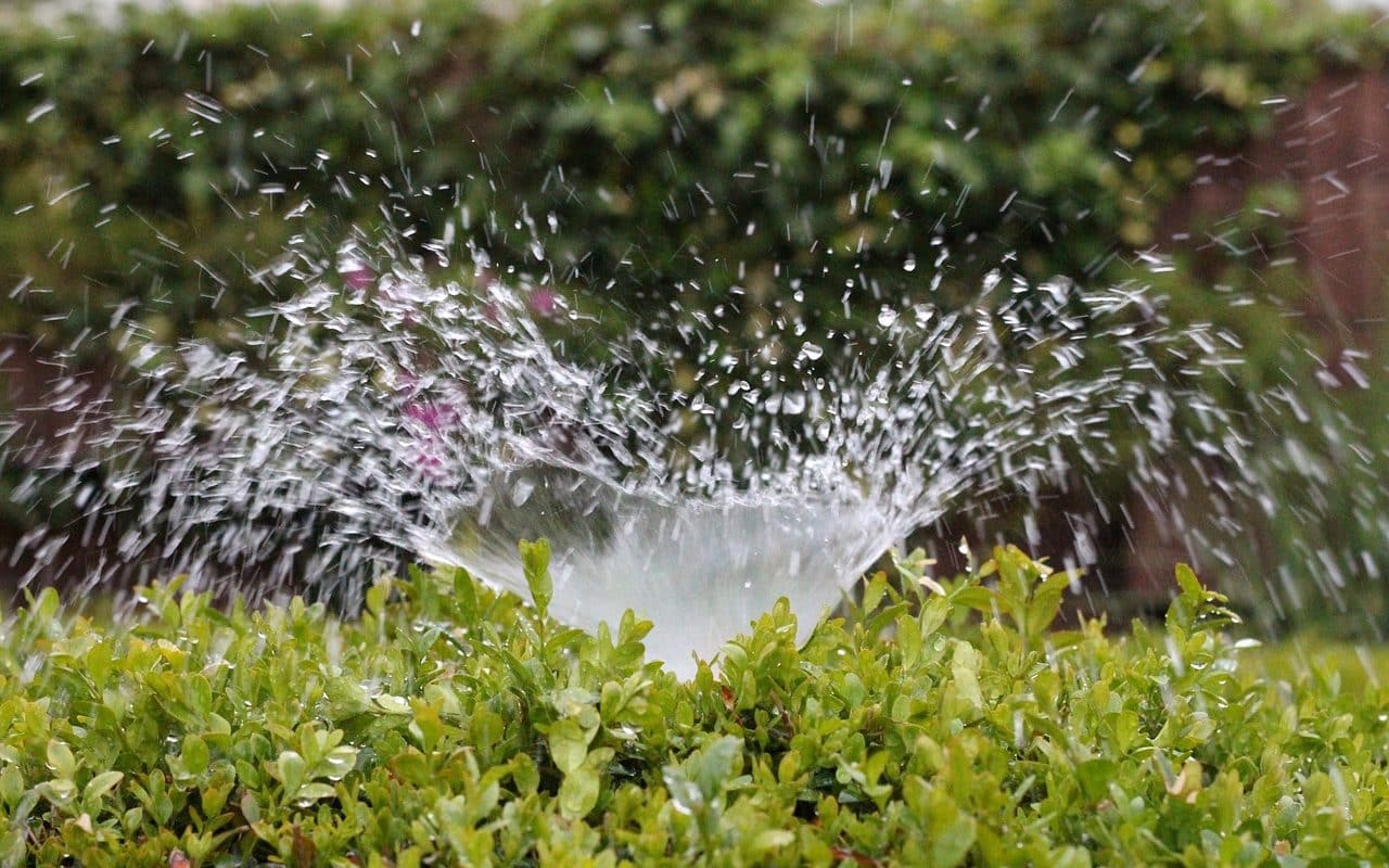 Système d'irrigation automatique dans votre jardin