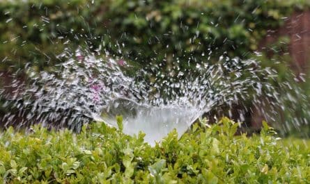 Système d'irrigation automatique dans votre jardin