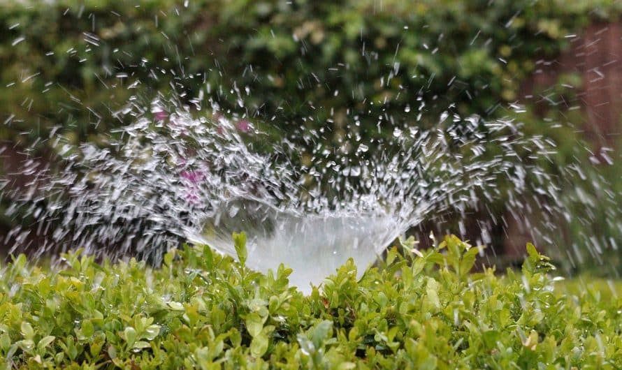 Les avantages d’un système d’irrigation automatique dans votre jardin