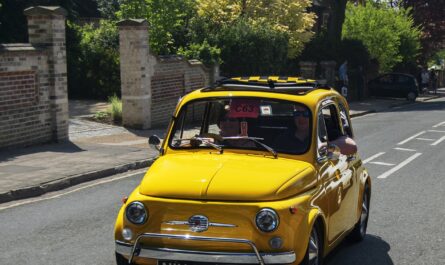 découvrez la fiat seicento, une citadine compacte au design charmant et aux performances économiques. idéale pour la ville, elle allie confort, maniabilité et praticité. explorez toutes ses caractéristiques et trouvez le modèle qui vous convient.